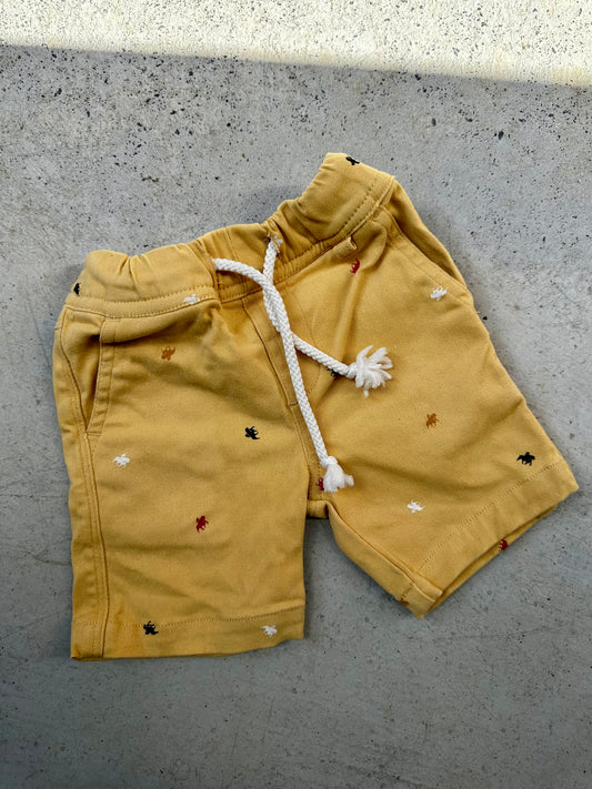No brand shorts - size 0