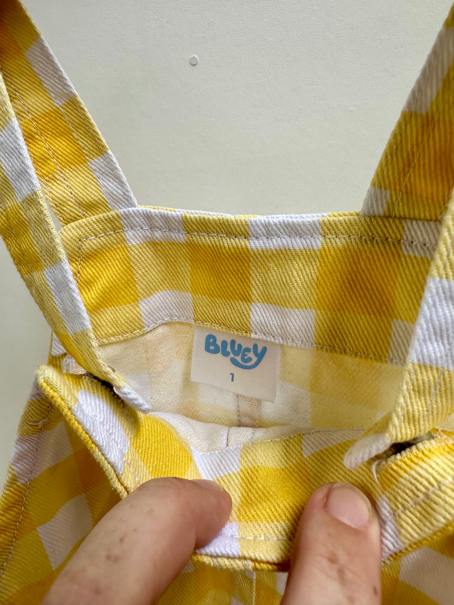 Bluey dress - size 1