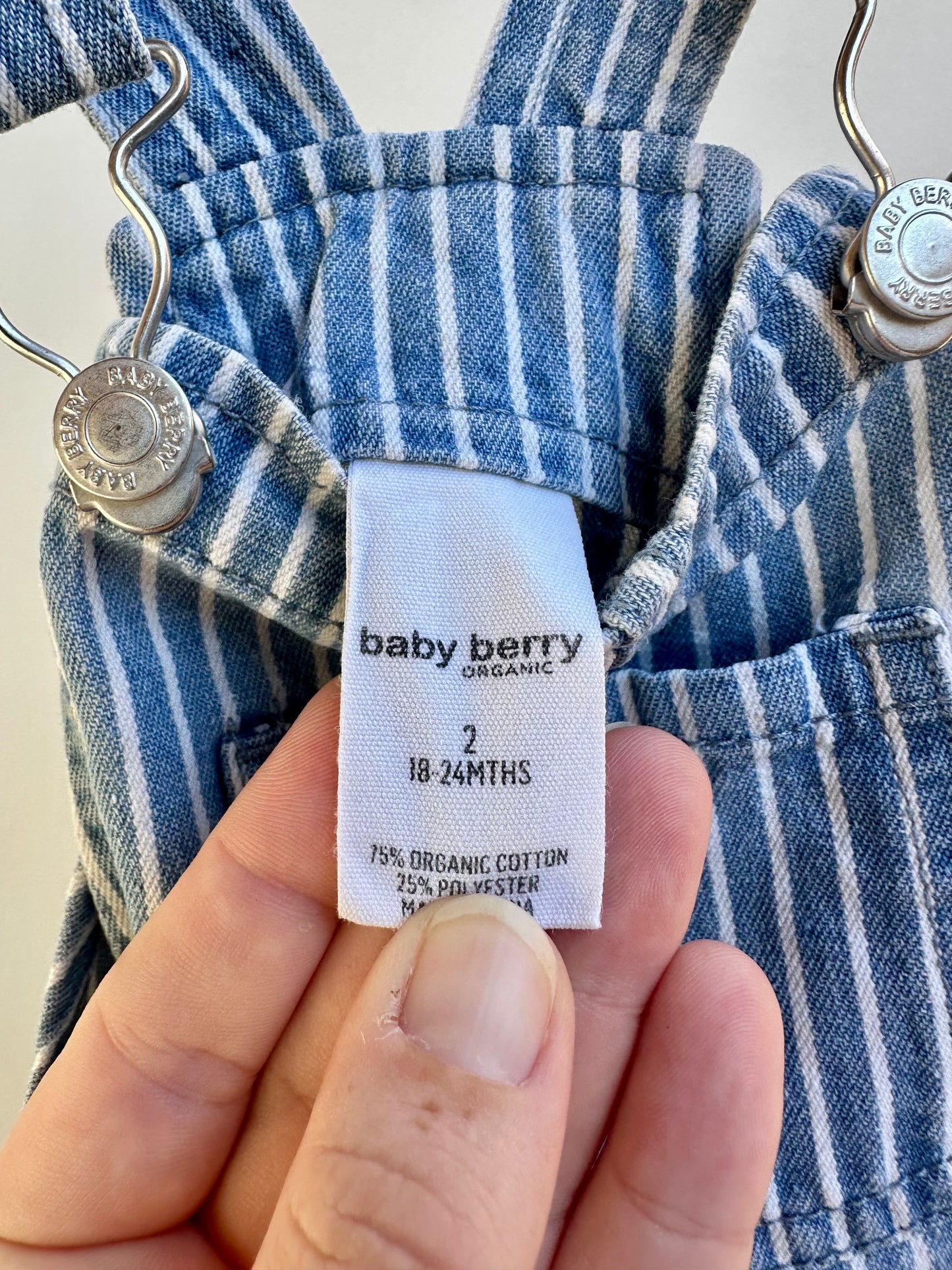 Baby Berry overalls - size 2